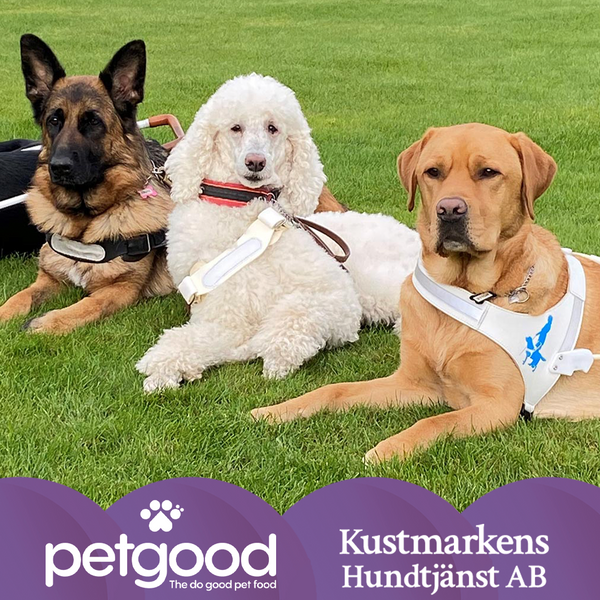 Petgood - Proud Official Sponsor to Kustmarken and their dogs