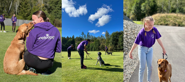 petgood visits Kustmarken! 💜