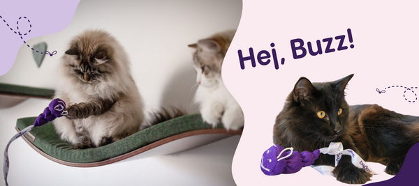 Meet Buzz the circular larva!