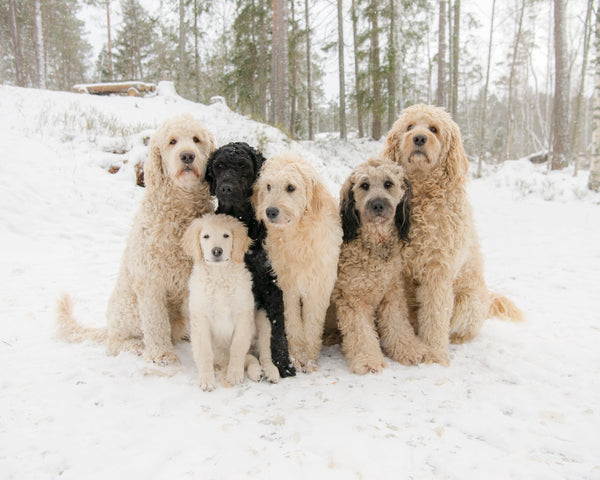 Fabulous doodles @fabulous_doodle