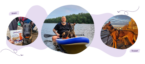 Meet our ambassadors, the Malinois Krysset and Xtrem!