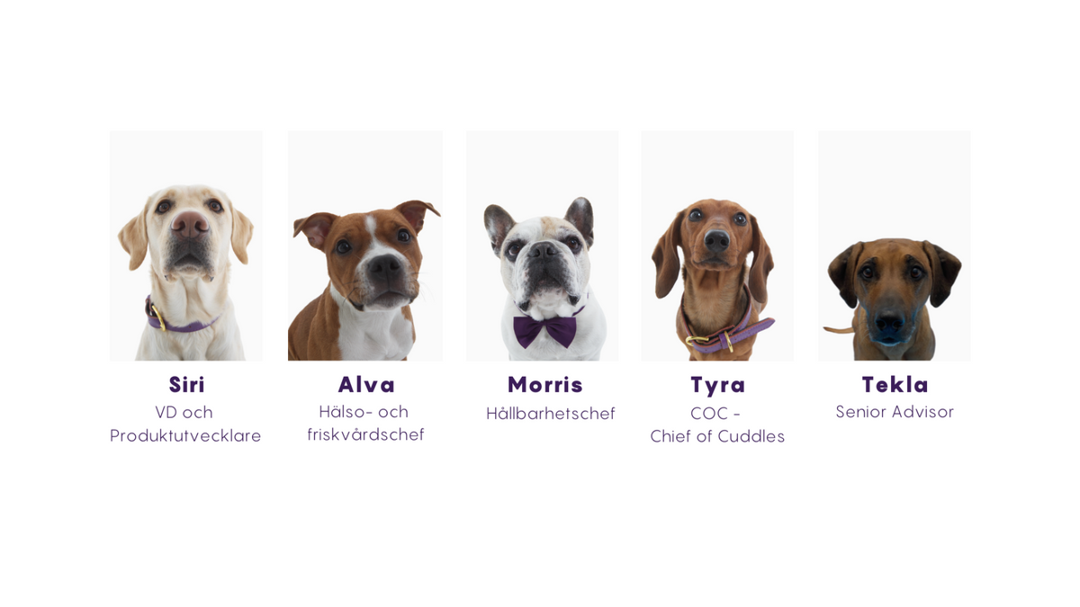 Petgood dogs