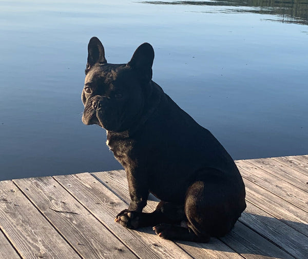 Recovered from itching in ears and unstable stomach