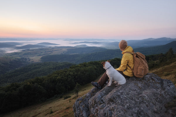 Petgood Sustainability