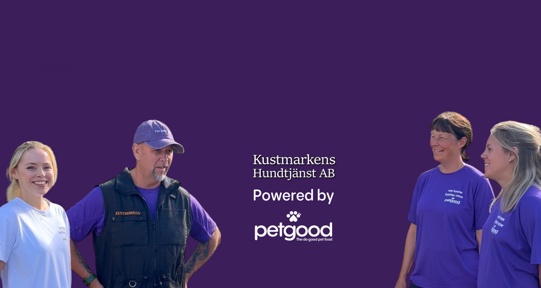 Who are Kustmarken?