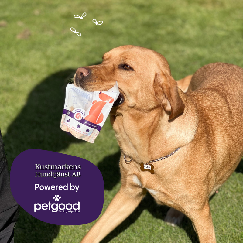 Kustmarkens Hundtjänst AB powered by Petgood