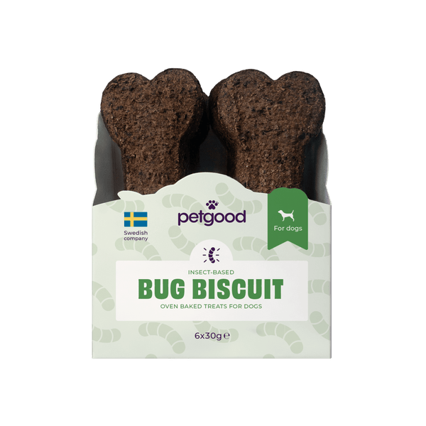 Dog Bug Biscuit