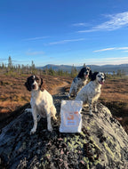 Insektsbaserat premiumfoder - Aktiv hund