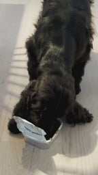 Insekts-paté våtfoder - hund, 300g