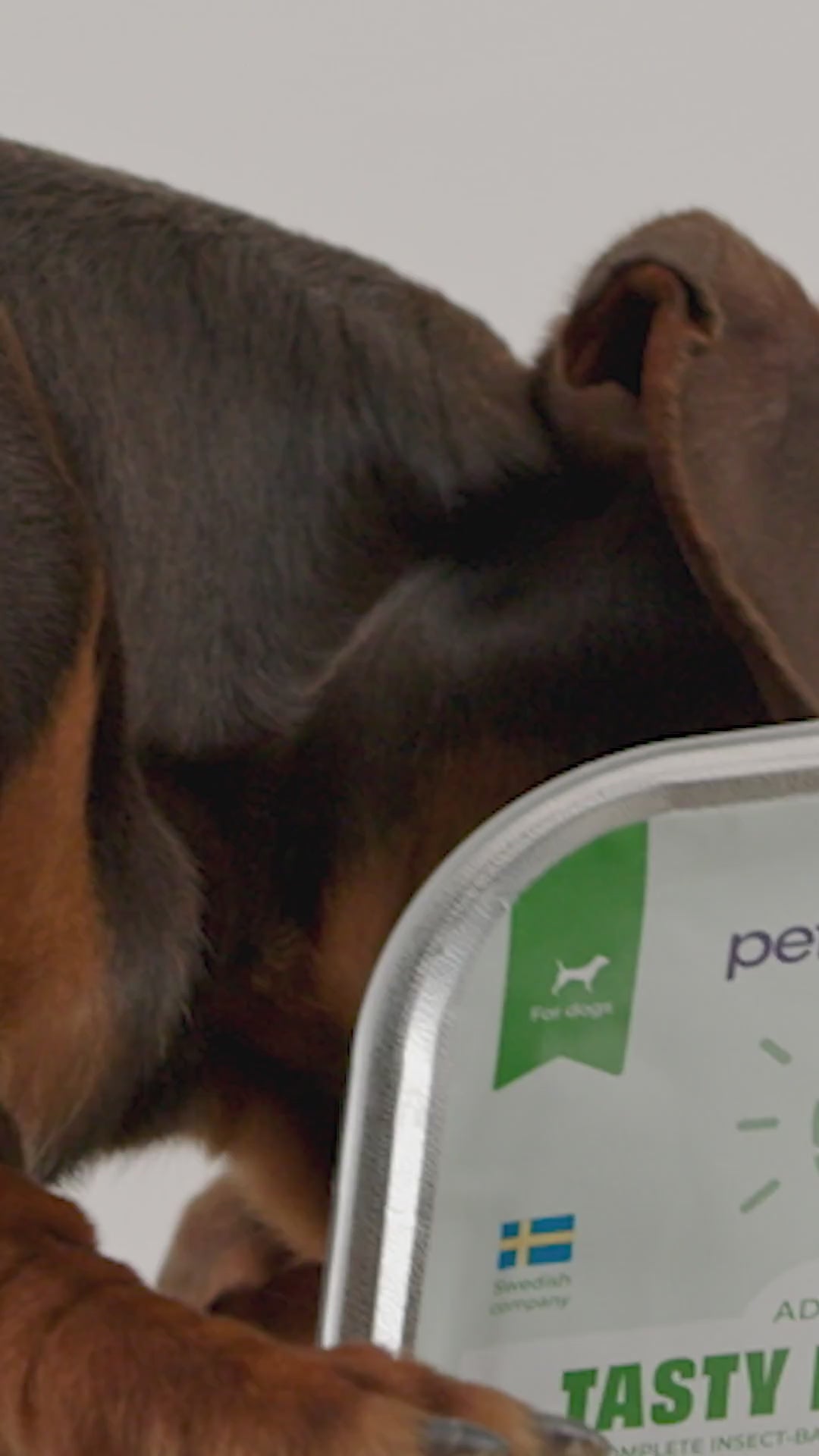 Insekts-paté våtfoder - hund, 300g