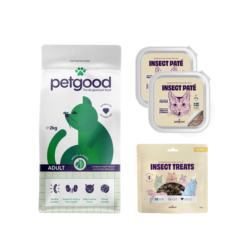 Cat Starter Pack Adult