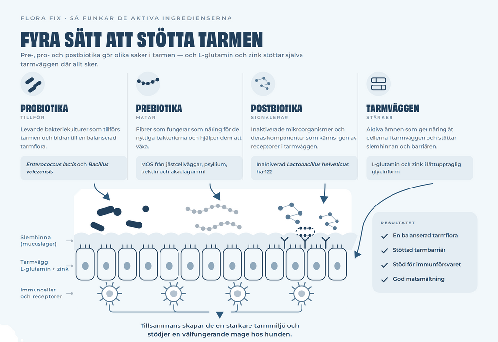 Petgood Flora Fix - probiotika för hund
