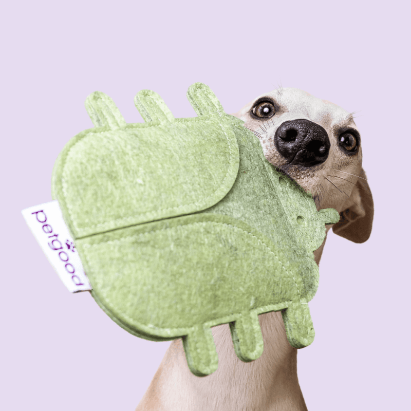 klimatsmart hundleksak